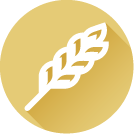 Gluten